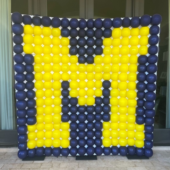 Balloon Wall Grid (any pattern) - Picture 3 of 5